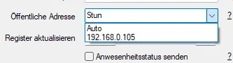Aufgeklapptes Auswahlmenü Öffentliche Adresse mit Auto und lokaler IP